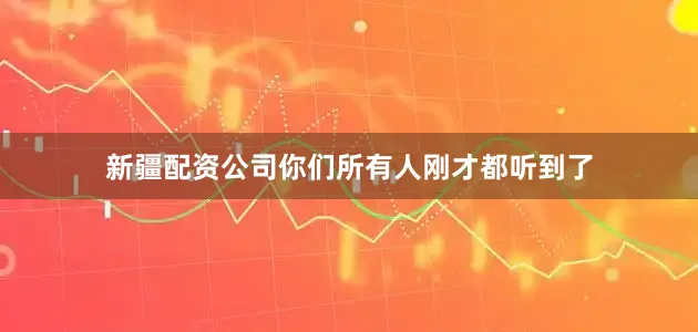 新疆配资公司你们所有人刚才都听到了
