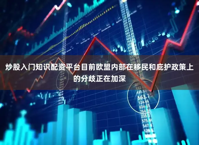 炒股入门知识配资平台目前欧盟内部在移民和庇护政策上的分歧正在加深