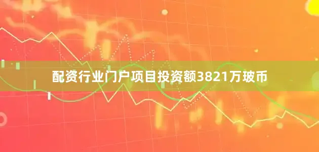 配资行业门户项目投资额3821万玻币