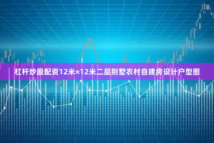 杠杆炒股配资12米×12米二层别墅农村自建房设计户型图