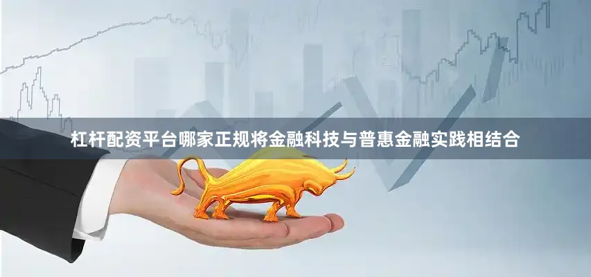 杠杆配资平台哪家正规将金融科技与普惠金融实践相结合
