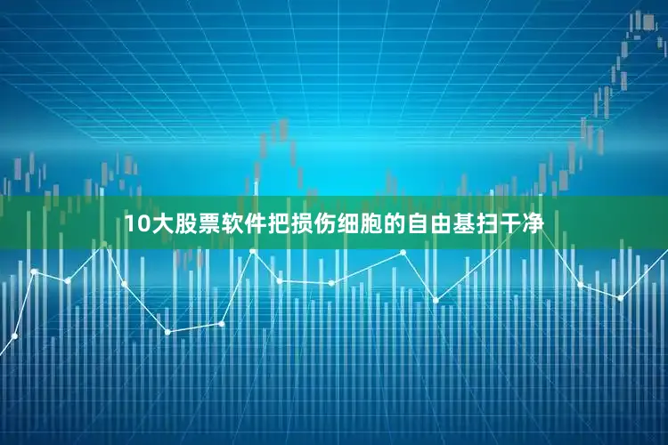 10大股票软件把损伤细胞的自由基扫干净